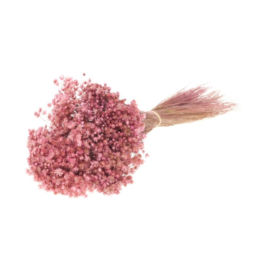 Gedroogde Marcela Pink bloemetjes