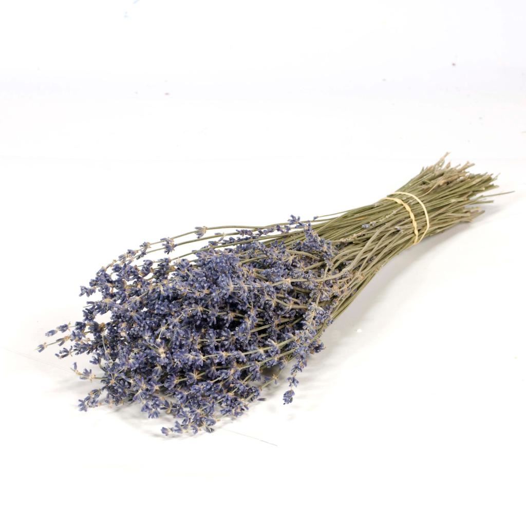 Gedroogde Lavendel naturel blauw