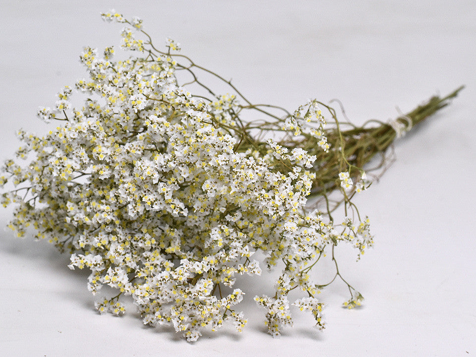 Gedroogde Limonium Diamond wit